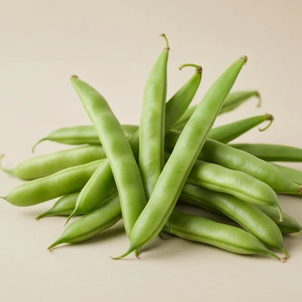 Bean, green, raw