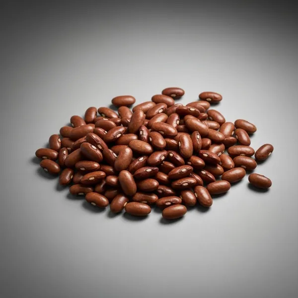 Bean, haricot / navy, dried, boiled, drained