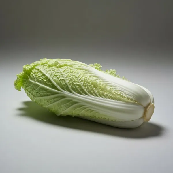 Cabbage, Chinese / wombok, raw