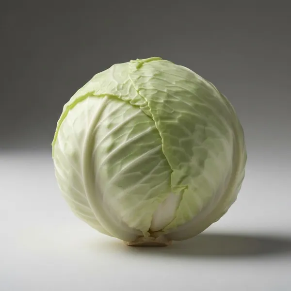 Cabbage, white / common, raw