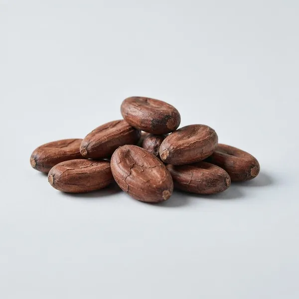 Cacao nibs