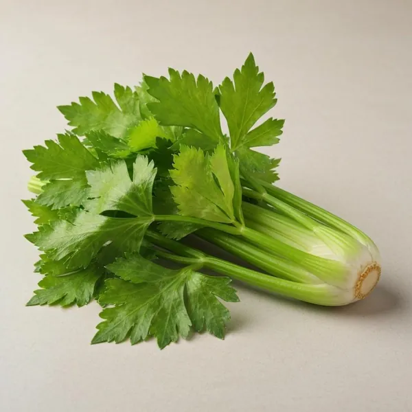 Celery (leaves only), raw