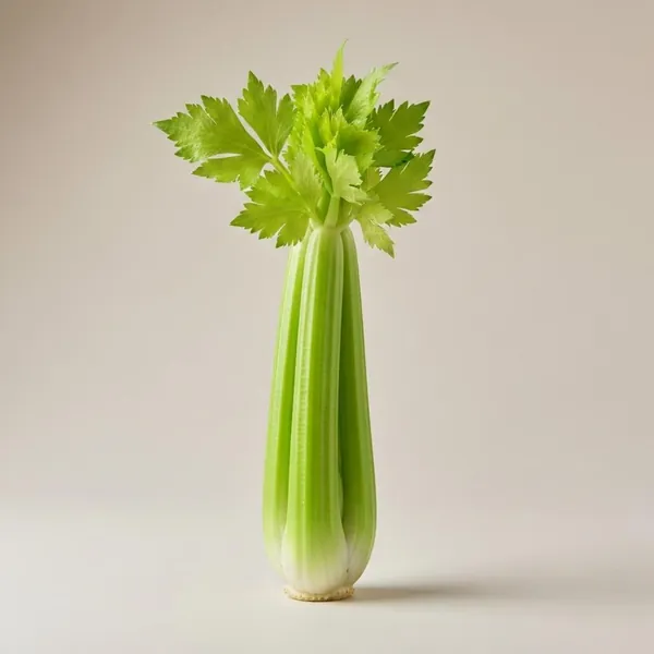 Celery (stalk only), raw