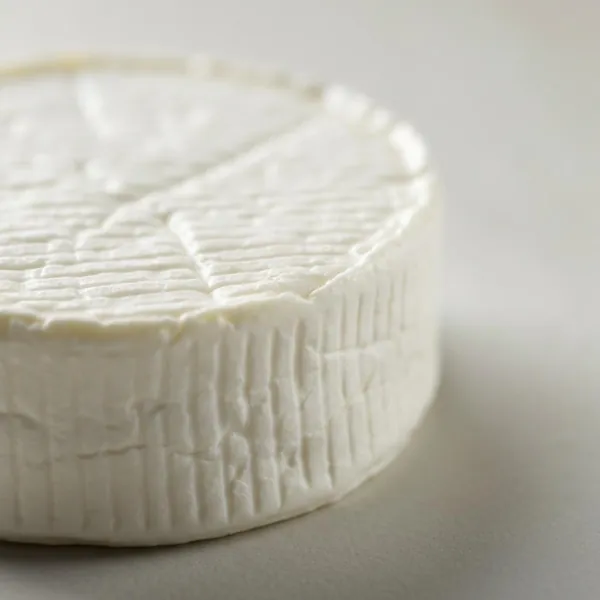 Cheese, goat (chevre), soft, plain