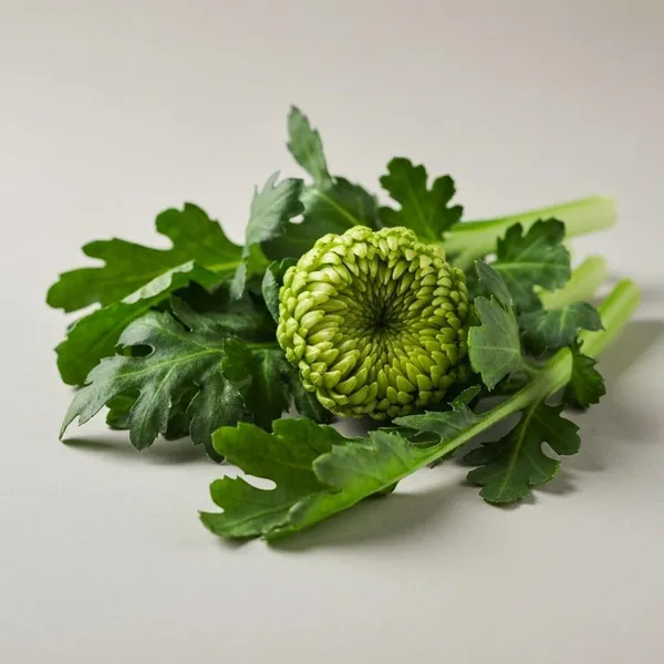 Chrysanthemum greens, raw