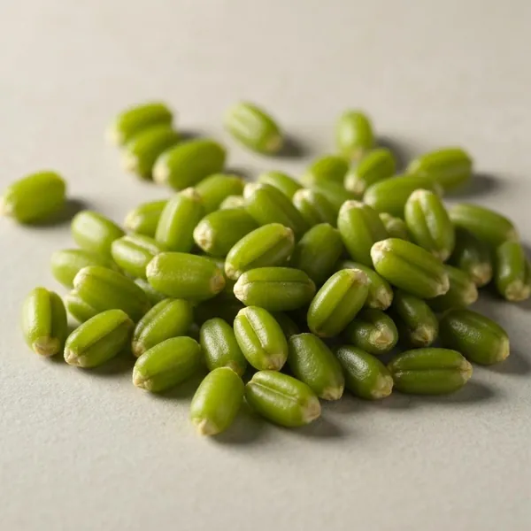 Grain, spelt, kernels (green), cooked