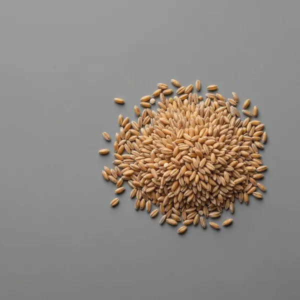 Grain, wheat germ, uncooked