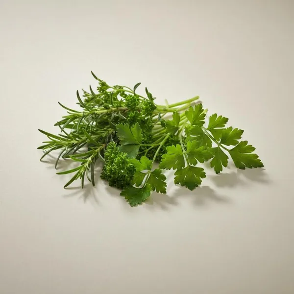 Herb, parsley, fresh