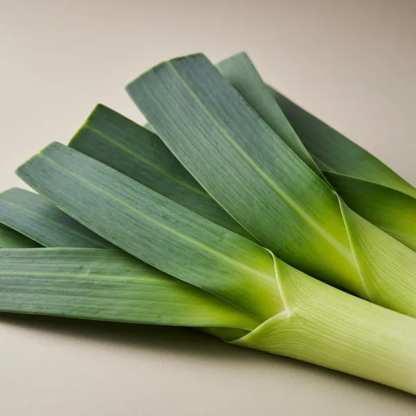 Leek (green leaves only), raw