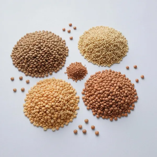 Lentil, gram, horse, dried, boiled, drained