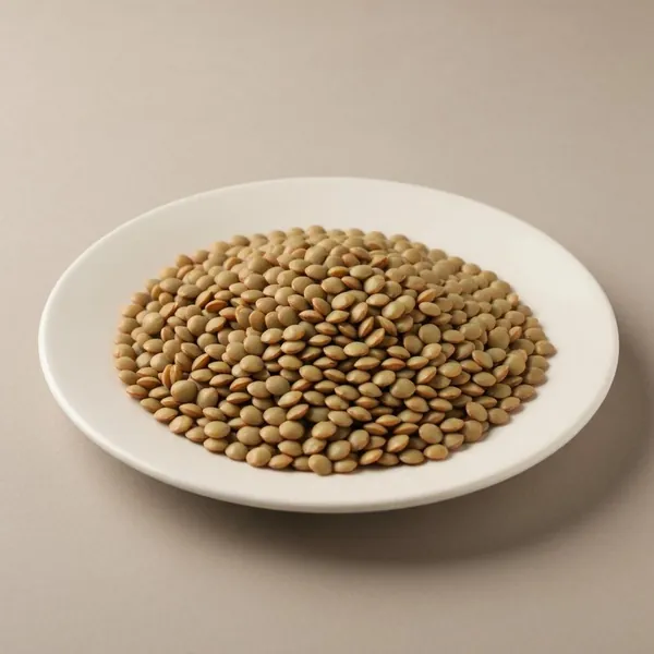Lentil, green, hulled, dried, boiled, drained