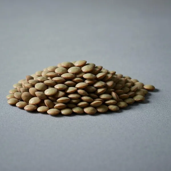 Lentil, Le Puy, hulled, dried, boiled, drained