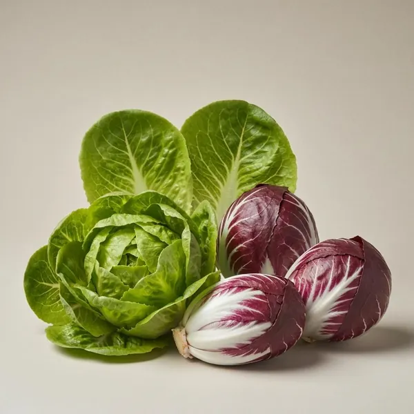 Lettuce, radicchio, raw