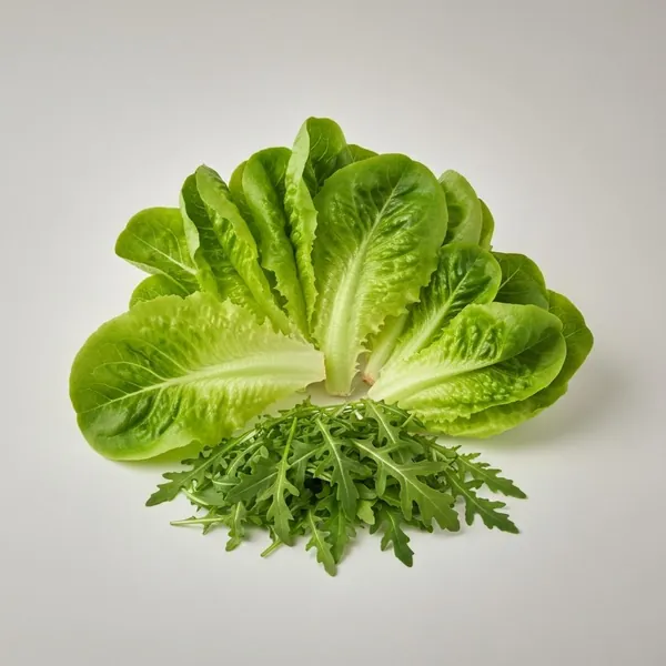 Lettuce, rocket / arugula, raw