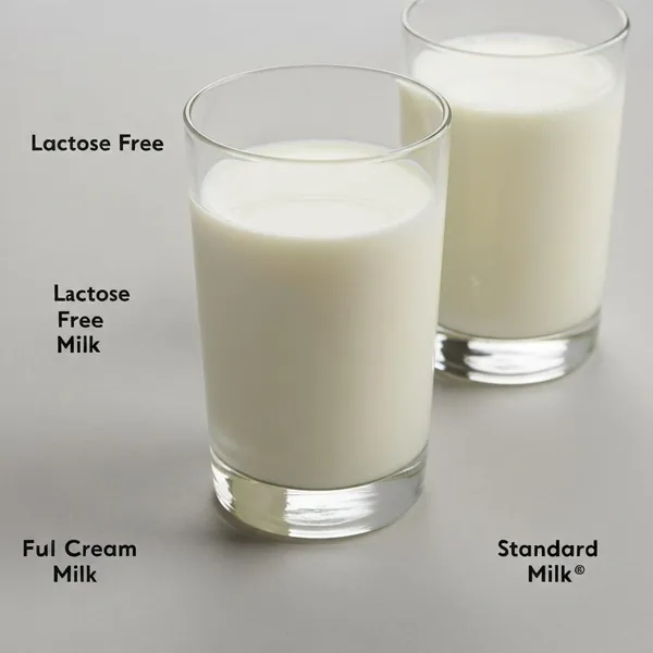 Milk, Lactose Free, Full Cream, a2 Milk®