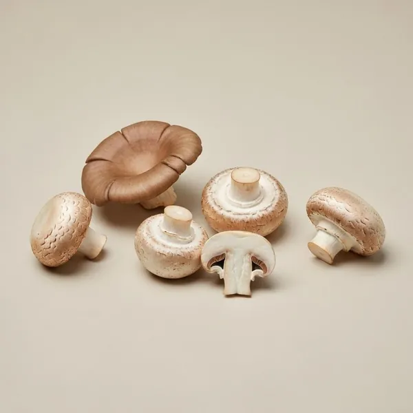 Mushroom, button, raw