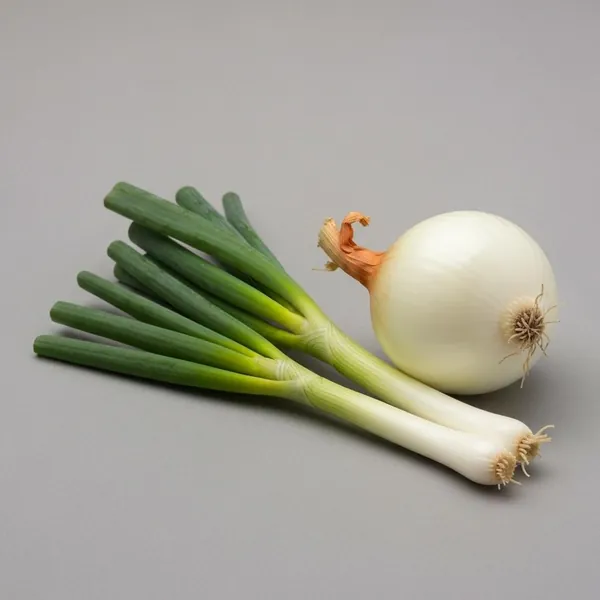 Onion, spring / scallion (white bulb only), raw