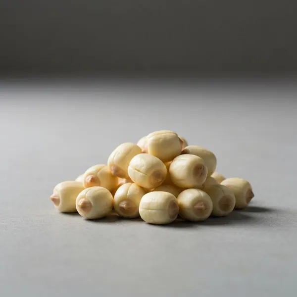 Seed, lotus, white, dried, soaked