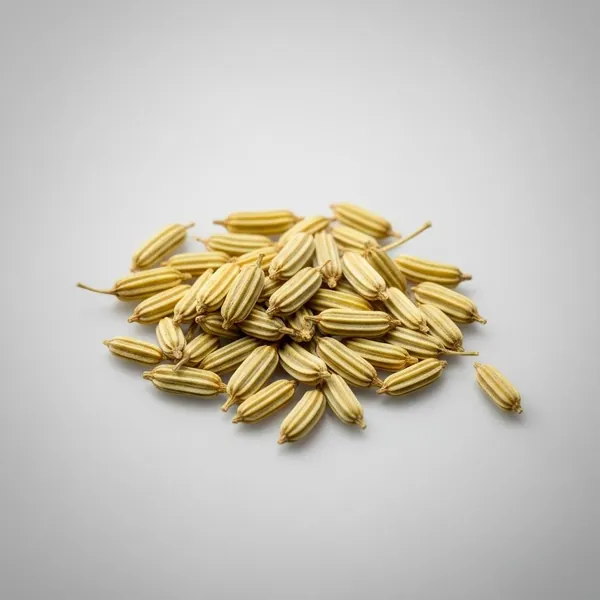 Spice, fennel seed, dried, whole