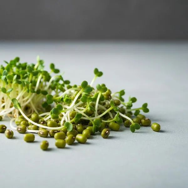 Sprouts, mung bean, raw