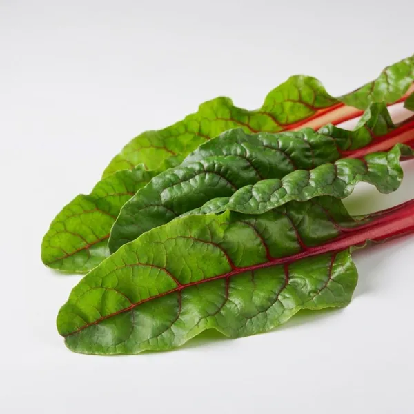 Swiss chard / Silverbeet, raw