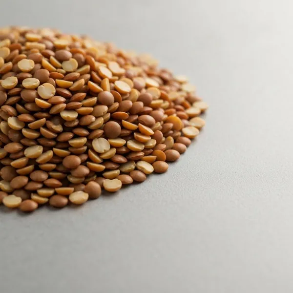 Urid Dal / Dahl (vigna mungo, black gram), pea, split, dried, boiled, drained