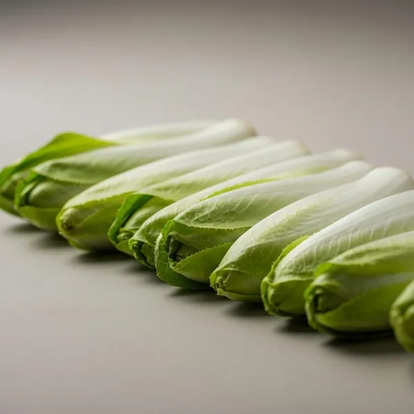 Witlof / Witloof / Belgian endive, raw